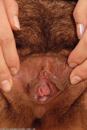 Original 685 px/ 1024 px