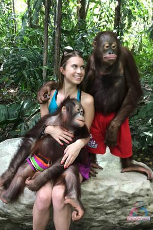 Original 2000 px/ 3000 px