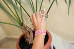 Original 1024 px/ 682 px