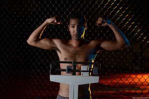 Original 2491 px/ 1663 px