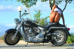 Original 1248 px/ 832 px