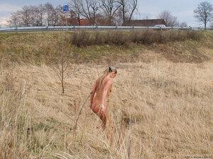 Original 1600 px/ 1200 px