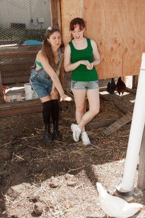 Original 854 px/ 1280 px