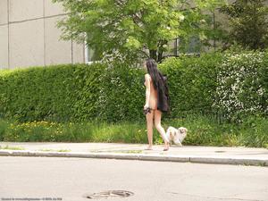 Original 1024 px/ 768 px