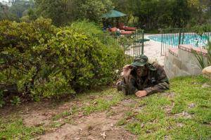 Original 2499 px/ 1663 px