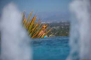 Original 2495 px/ 1663 px