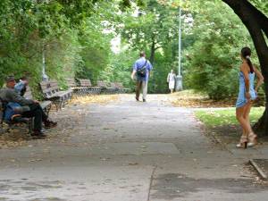 Original 1024 px/ 768 px