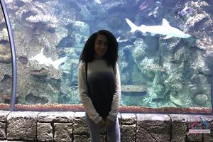 Original 3000 px/ 2000 px