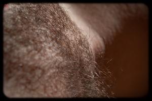 Original 3888 px/ 2592 px