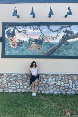 Original 2000 px/ 3000 px