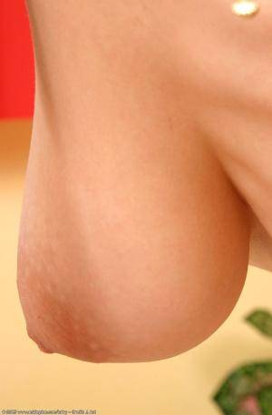 Original 672 px/ 1024 px