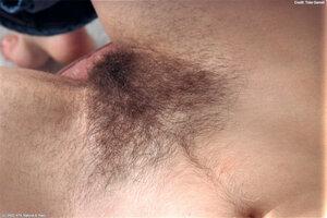 Original 1024 px/ 683 px