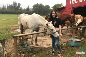 Original 3000 px/ 2000 px