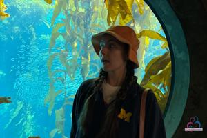 Original 3000 px/ 2000 px