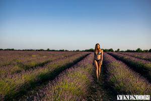 Original 3000 px/ 2000 px