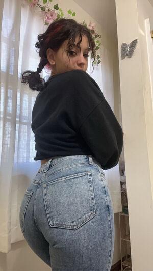 Original 1154 px/ 2048 px