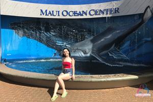 Original 3000 px/ 2000 px