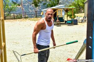 Original 1902 px/ 1269 px