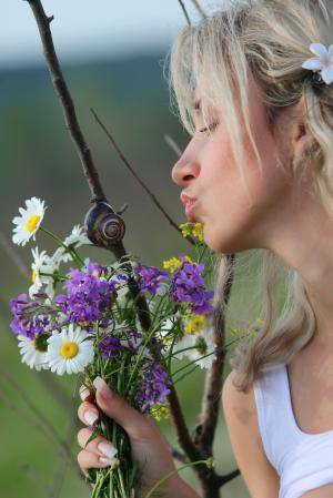 Original 854 px/ 1280 px