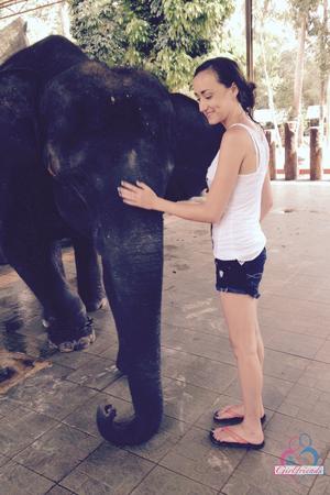 Original 2000 px/ 3000 px