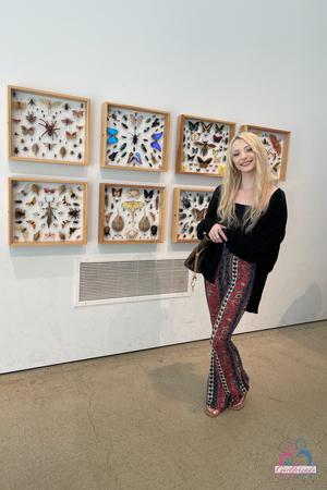 Original 2000 px/ 3000 px