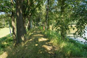 Original 2700 px/ 1800 px