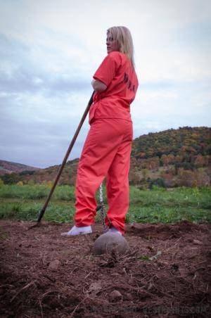 Original 795 px/ 1200 px