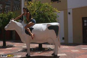 Original 1600 px/ 1067 px