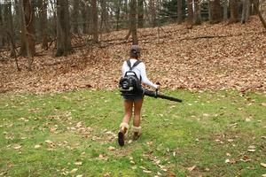 Original 3888 px/ 2592 px