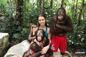 Original 3000 px/ 2000 px