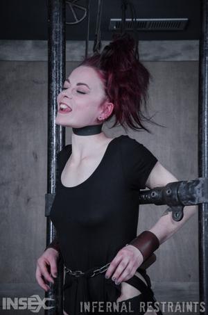 Original 795 px/ 1200 px