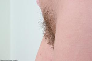 Original 1536 px/ 1024 px