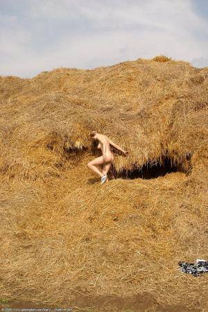 Original 682 px/ 1024 px