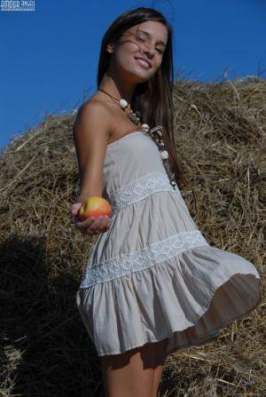 Original 402 px/ 600 px