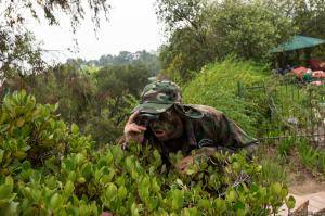 Original 2499 px/ 1663 px