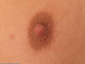 Original 1024 px/ 769 px