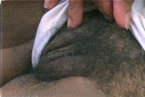 Original 1024 px/ 682 px