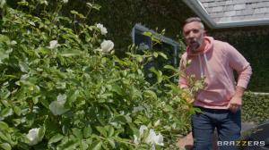 Original 1920 px/ 1080 px