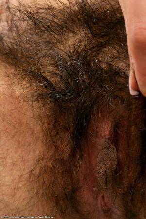 Original 682 px/ 1024 px