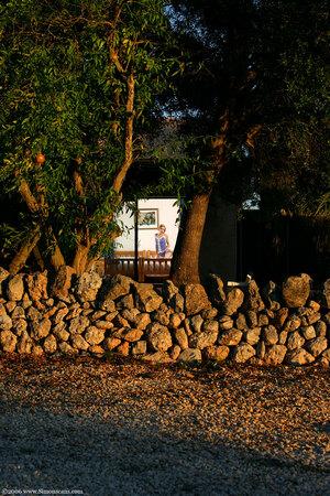 Original 1098 px/ 1648 px