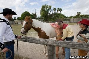 Original 800 px/ 533 px