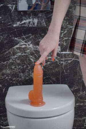 Original 855 px/ 1280 px