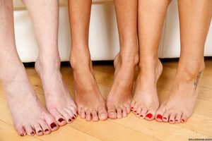 Original 2495 px/ 1663 px