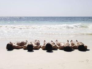 Original 1280 px/ 961 px