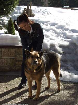 Original 1200 px/ 1600 px