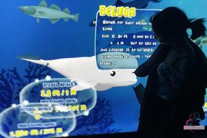 Original 3000 px/ 2000 px