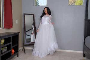 Original 2491 px/ 1663 px