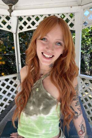 Original 2000 px/ 3000 px