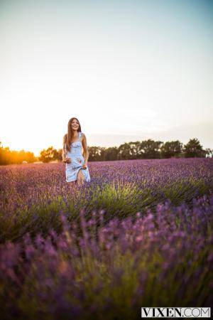 Original 2000 px/ 3000 px