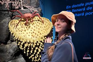 Original 3000 px/ 2000 px